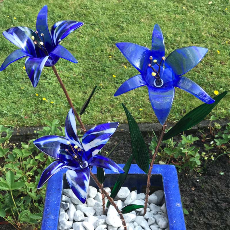 bloemen blauw Puck in glaspoeder